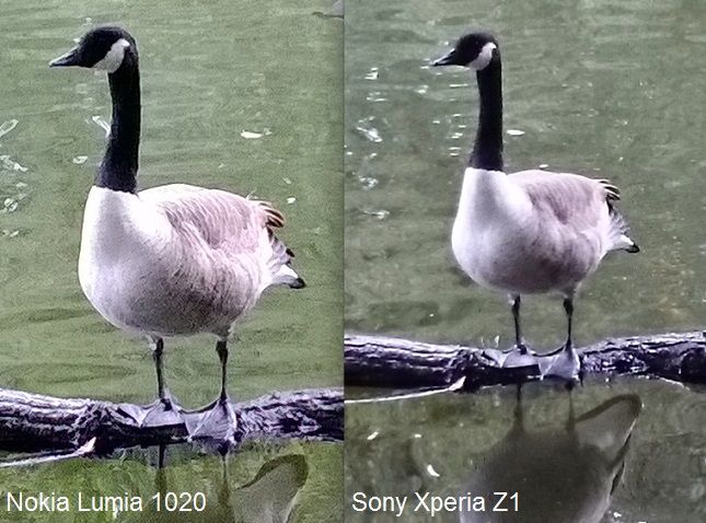Fotografía - Sony Xperia Z1 enfrentó contra la cámara del Nokia Lumia 1020