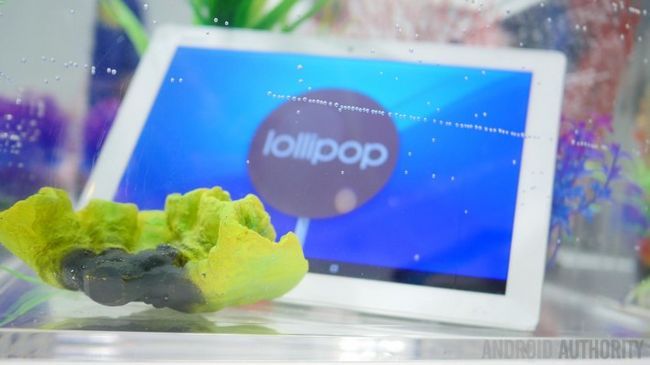 Fotografía - Vídeo: Xperia Tablet Z4 tecnología Qualcomm deportivos en una pantalla húmeda más sensible