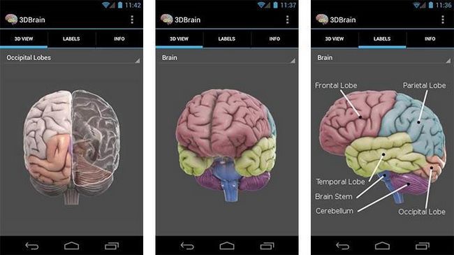 3D Brain mejores aplicaciones android aprendizaje