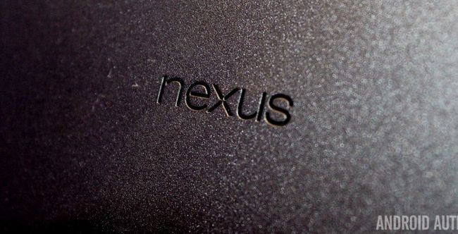 Nexus Logo-1
