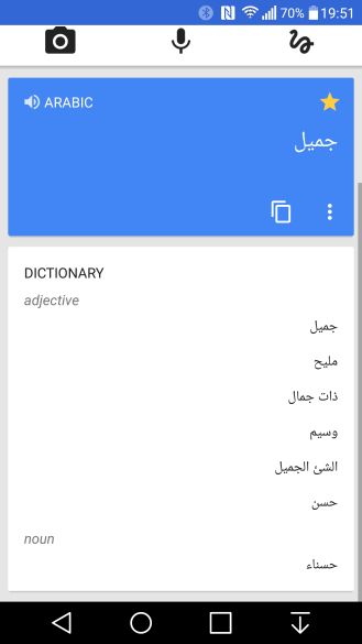 google-translate-diccionario-3