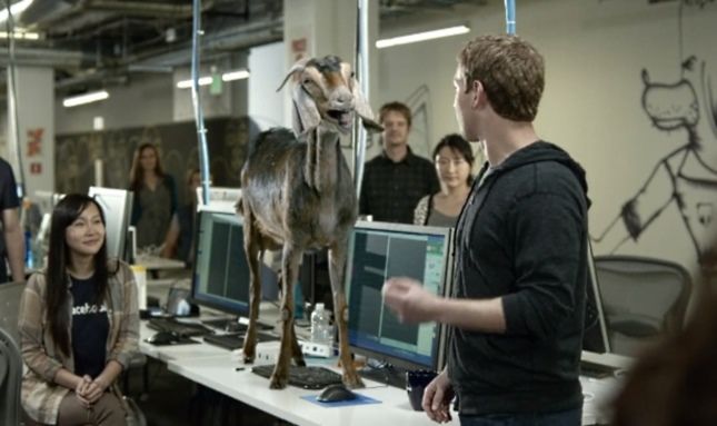 Facebook, Mark Zuckerberg, el hogar comercial